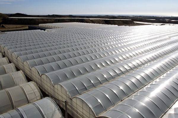 invernaderos-almeria|Almería Quadre|Almería Rendoimientos